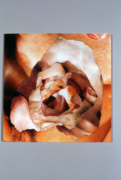 "Flesh Holes"  Color prints, ranging in size from 21" x 17" to 35" x28"
1990s