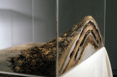 "Sentimental Layers"  Earth from different places and poop from different people, plexiglass. 14"x35"x14"  1990s
