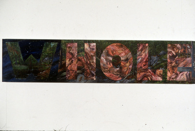 "Whole"  Acrylic paint, paper, canvas, collage.  20" x  97"  1980s